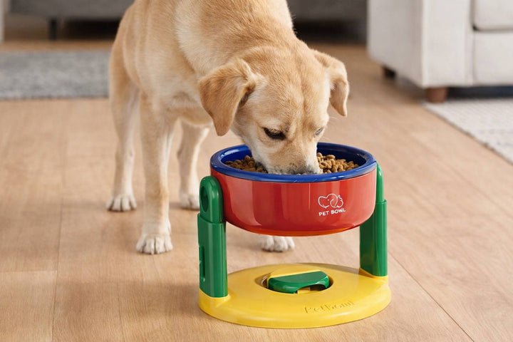 🐾 ciotola per animali domestici